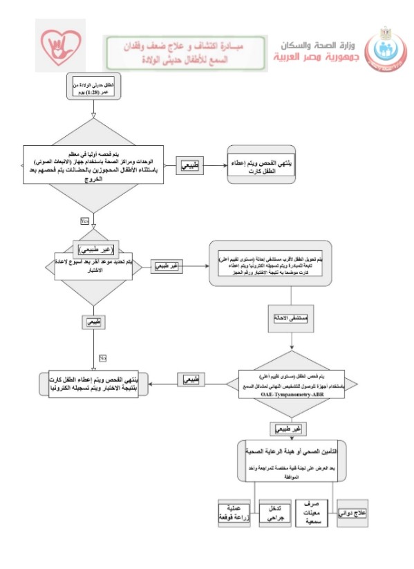 مخطط إجراء الفحص داخل المبادرة